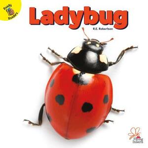 Ladybug by R. E. Robertson