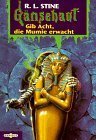 Gib Acht, die Mumie erwacht (Gänsehaut, #23) by R.L. Stine
