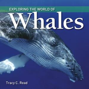 Exploring the World of Whales by Tracy Read