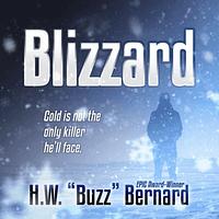 Blizzard by H. W. Buzz Bernard