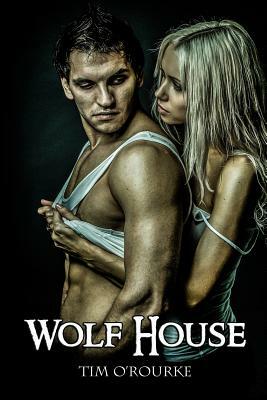 Wolf House: Kiera Hudson Series One (Book 5) by Tim O'Rourke