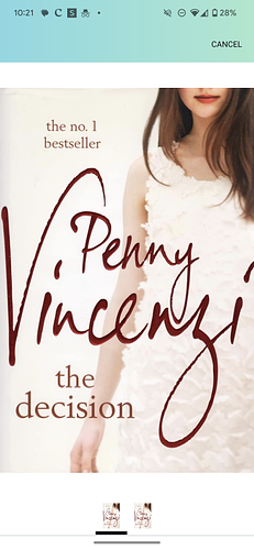 The Decision by Penny Vincenzi