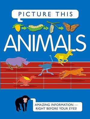 Picture This! Animals: Amazing Information-Right Before Your Eyes by Margaret Hynes