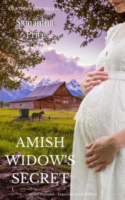 Amish Widow's Secret by Samantha Price