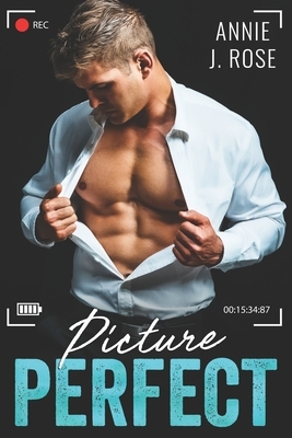 Picture Perfect by Annie J. Rose