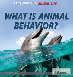 What Is Animal Behavior? by Monique Vescia