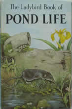 Pond Life: A Ladybird Book by Nancy Scott