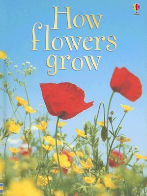How Flowers Grow by Emma Helbrough