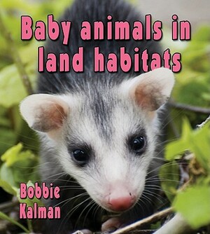 Baby Animals in Land Habitats by Bobbie Kalman
