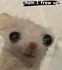 agladfelter73's profile picture