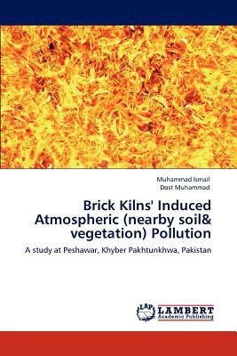 Brick Kilns' Induced Atmospheric (Nearby Soil & Vegetation) Pollution by Muhammad Dost, Ismail Muhammad