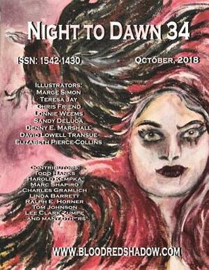 Night to Dawn 34 by Barbara Custer