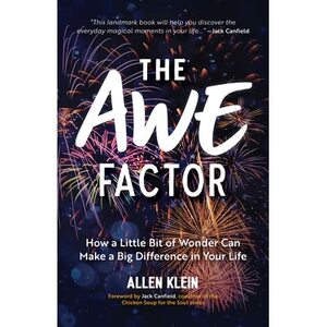 The Awe Factor: How a Little Bit of Wonder Can Make a Big Difference in Your Life by Allen Klein