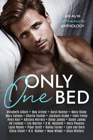 Only One Bed by Charlie Cochet, Riley Hart, Adriana Herrera, Annabeth Albert, Jocelynn Drake, Hailey Turner, Saxon James, Eden Finley, Alice Winters, Daryl Banner, Macy Blake, Nora Phoenix, May Archer, Silvia Violet, Onley James, N.R. Walker, Neve Wilder, Lynn Van Dorn, Lily Morton, Layla Reyne, K.M. Neuhold, E.M. Lindsey, Mary Calmes, Piper Scott