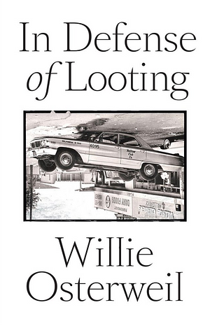 In Defense of Looting by Vicky Osterweil