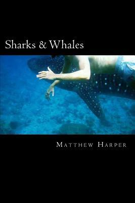 Sharks & Whales: A Fascinating Book Containing Shark & Whale Facts, Trivia, Images & Memory Recall Quiz: Suitable for Adults & Children by Matthew Harper