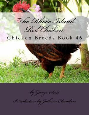 The Rhode Island Red Chicken: Chicken Breeds Book 46 by George Scott
