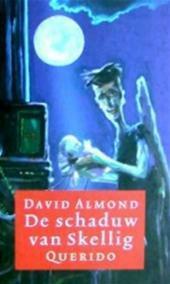 De schaduw van Skellig by David Almond