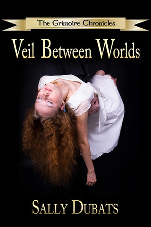 Veil Between Worlds by Sally Dubats