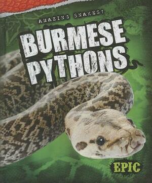 Burmese Pythons by Emily Rose Oachs