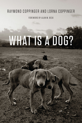 What Is a Dog? by Raymond Coppinger
