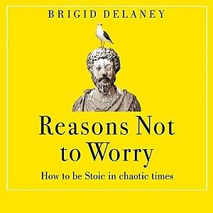 Reasons Not to Worry: How to Be Stoic in Chaotic Times by Brigid Delaney