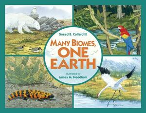 Many Biomes, One Earth: Exploring Terrestrial Biomes of North and South America by Sneed B. Collard III
