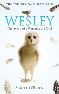 Wesley: The Story of a Remarkable Owl by Stacey O'Brien