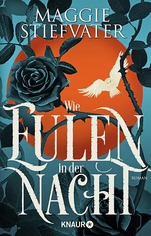 Wie Eulen in der Nacht by Maggie Stiefvater