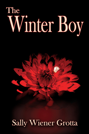 The Winter Boy by Sally Wiener Grotta