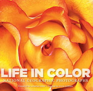 Life In Color: Photographs by Susan Hitchcock, Annie Griffiths, Jonathan Adler