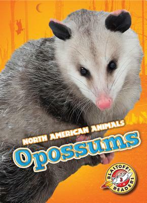 Opossums by Betsy Rathburn