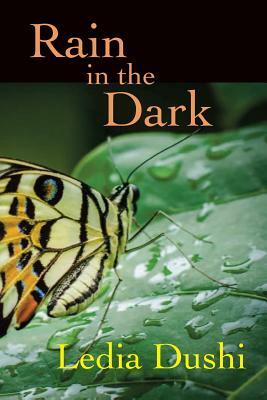 Rain in the Dark by Ledia Dushi