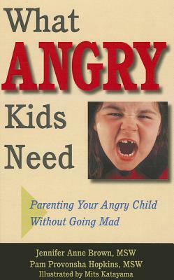 What Angry Kids Need: Parenting Your Angry Child Without Going Mad by Pam Provonsha Hopkins, Jennifer Anne Brown