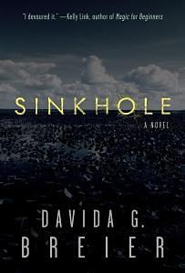 Sinkhole by Davida Breier