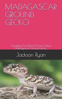 Madagascar Ground Gecko: Everything You Need To Know About Madagascar Ground Gecko. by Jackson Ryan