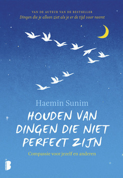 Houden van dingen die niet perfect zijn by Haemin Sunim