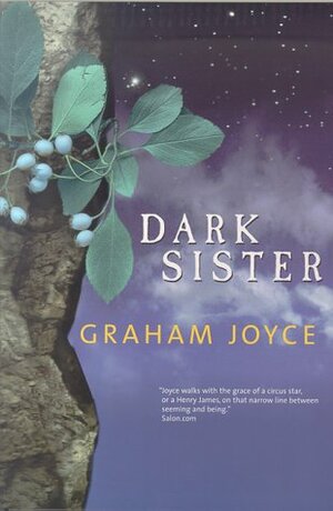 Dark Sister by Graham Joyce