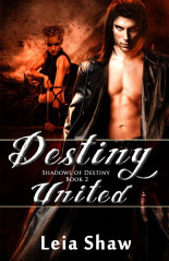 Destiny United by Leia Shaw