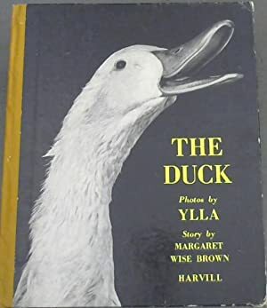 The Duck by Ylla, Margaret Wise Brown