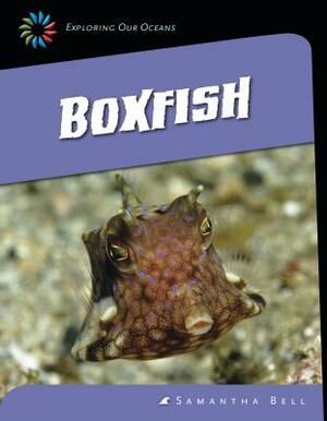 Boxfish by Samantha Bell