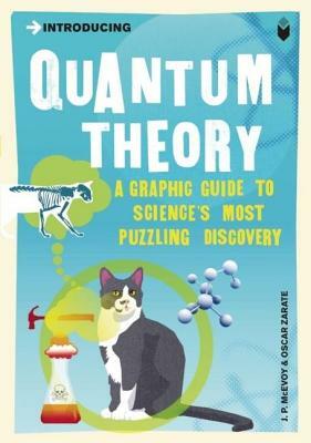 Introducing Quantum Theory: A Graphic Guide by J. P. McEvoy