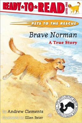 Brave Norman: A True Story by Andrew Clements