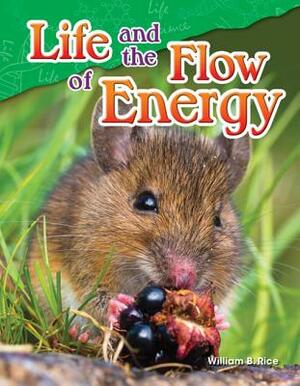 Life and the Flow of Energy by William B. Rice