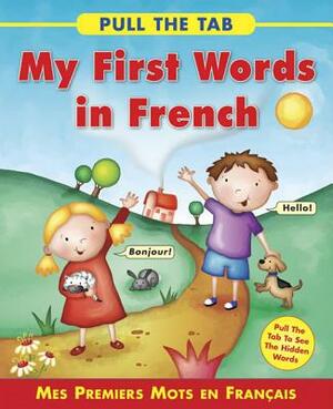 Pull the Tab: My First Words in French: Mes Premiers Mots En Francais - Pull the Tab to See the Hidden Words! by Sally Delaney