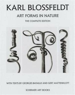Karl Blossfeldt: Art Forms in Nature by Karl Blossfeldt
