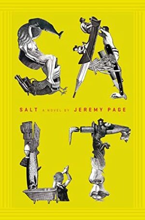 Salt by Jeremy Page