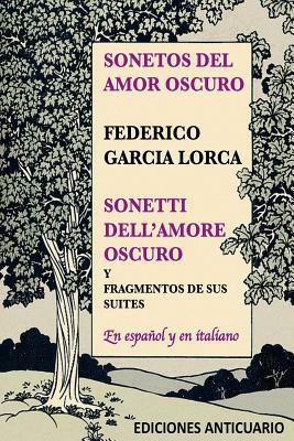 Sonetos del Amor Oscuro: Sonetti dell'amore oscuro by Federico García Lorca