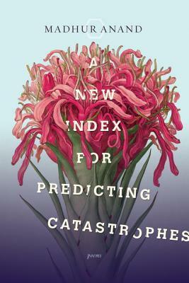 A New Index for Predicting Catastrophes by Madhur Anand