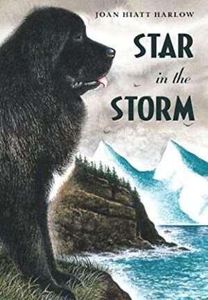 Star in the Storm by Joan Hiatt Harlow